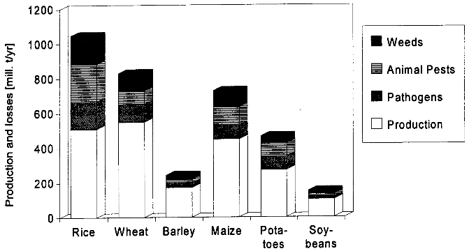 Actual production and losses due to pathogens, animal pests and weeds ...