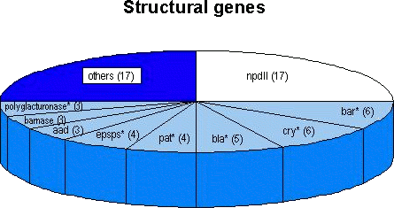 Structural Genes
