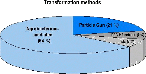 Transformation methods