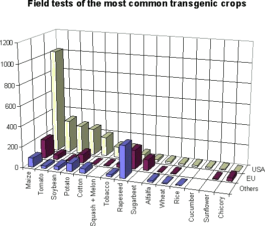 Field test of the most common transgenic crops